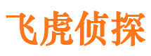 洛宁市调查公司